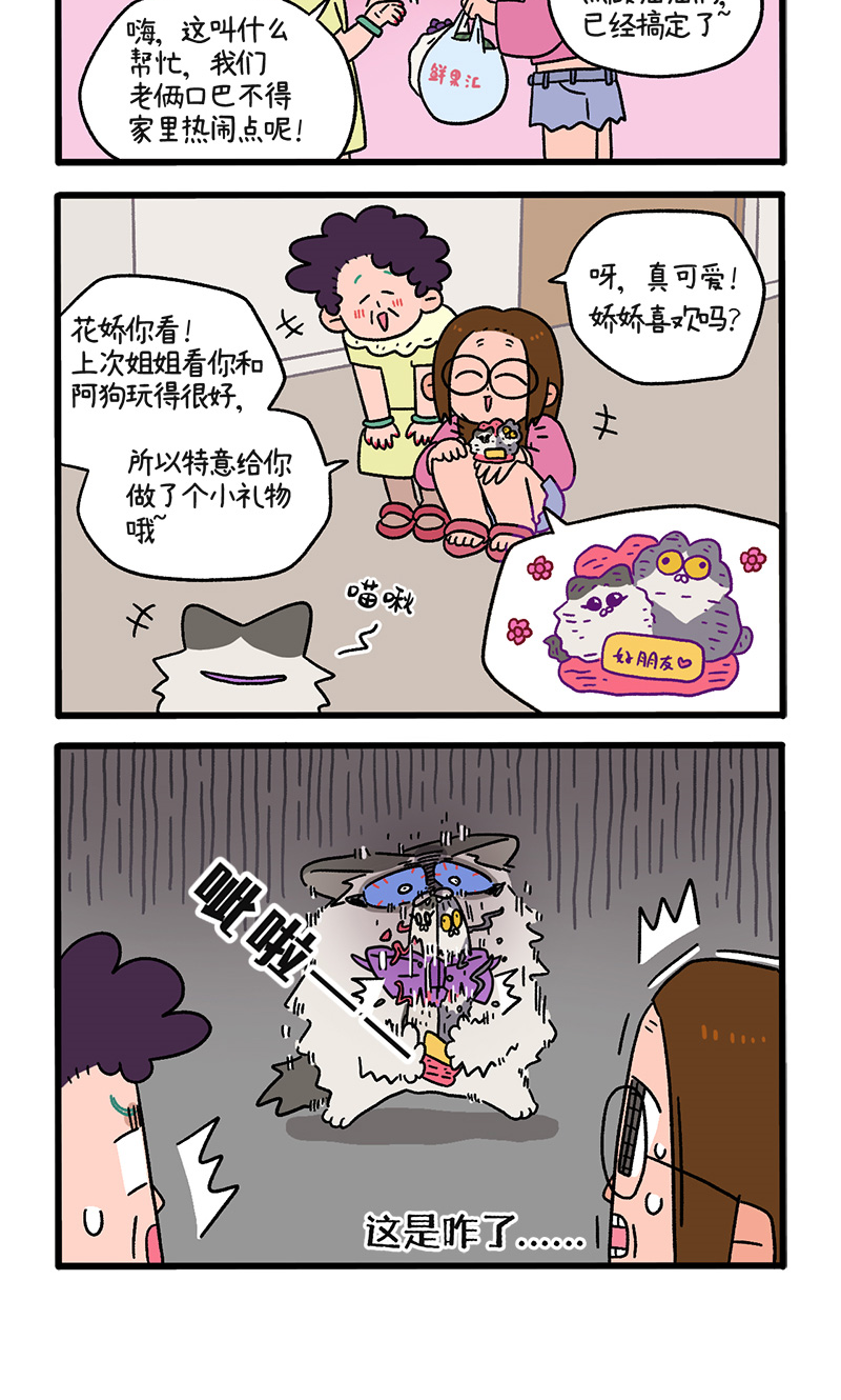 11.jpg