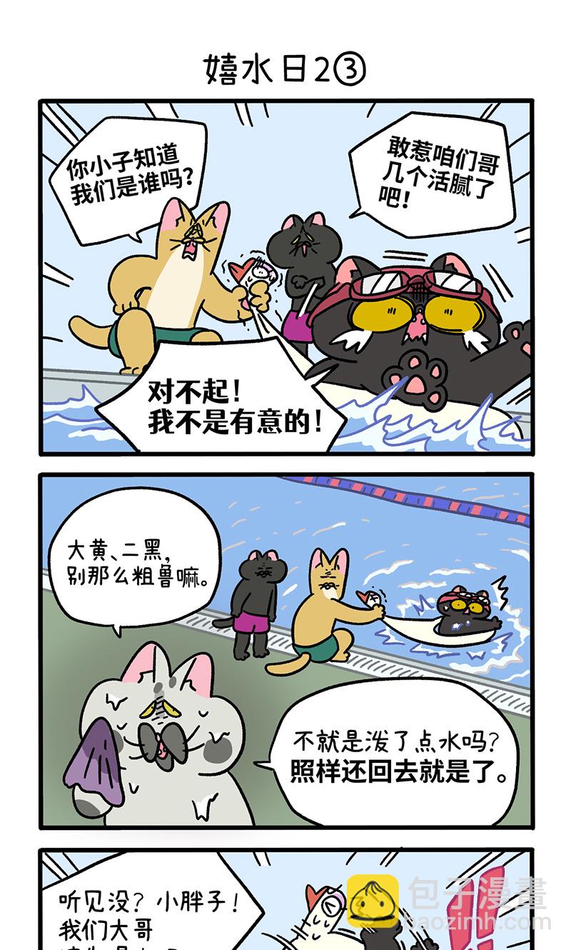 15.jpg