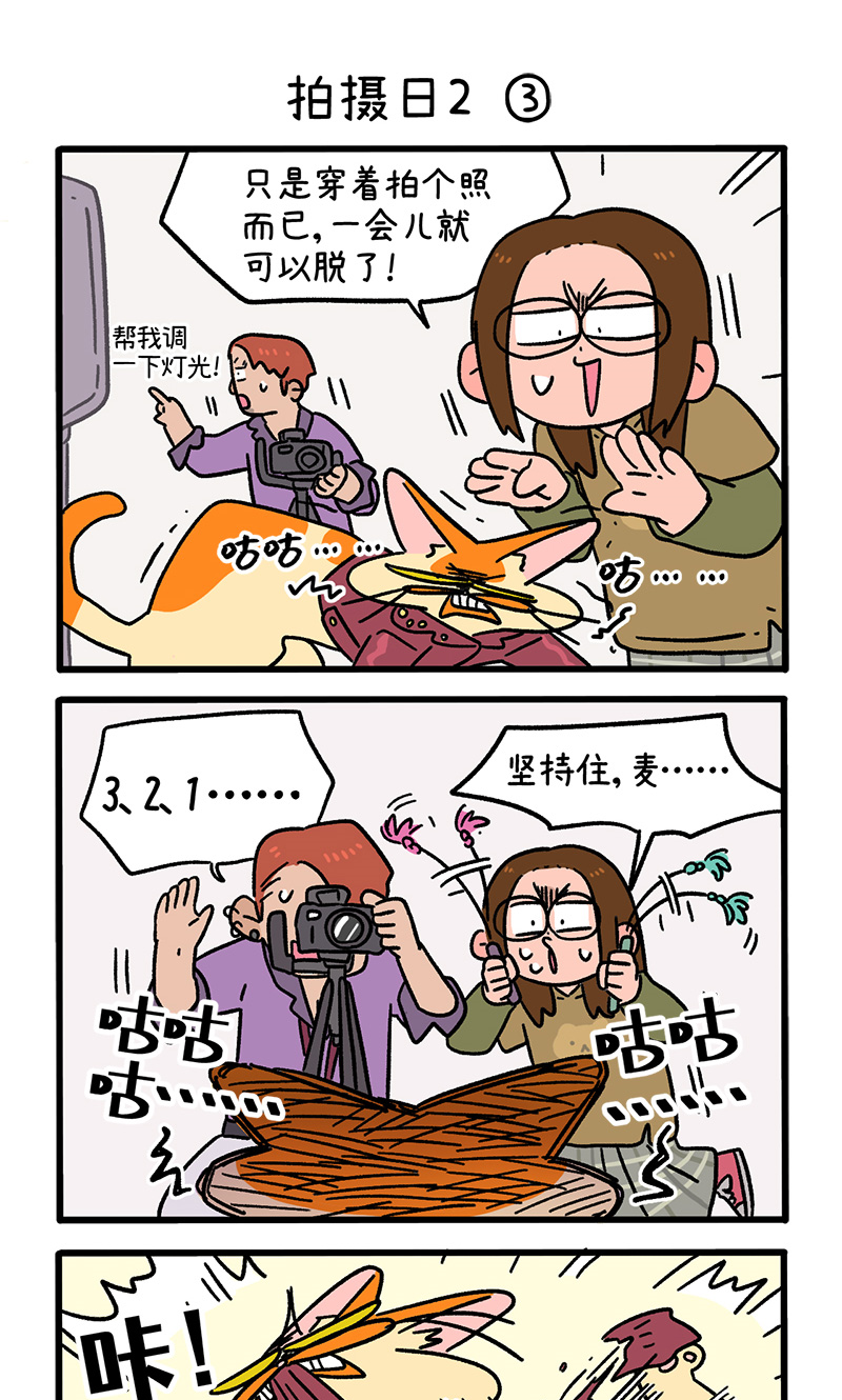15.jpg