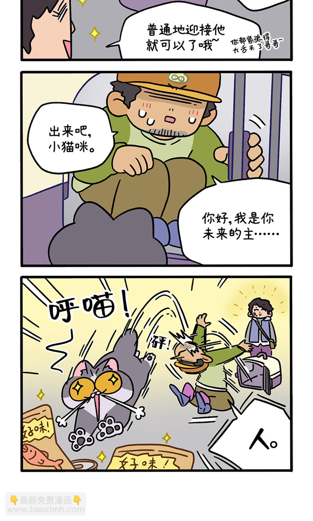 11.jpg