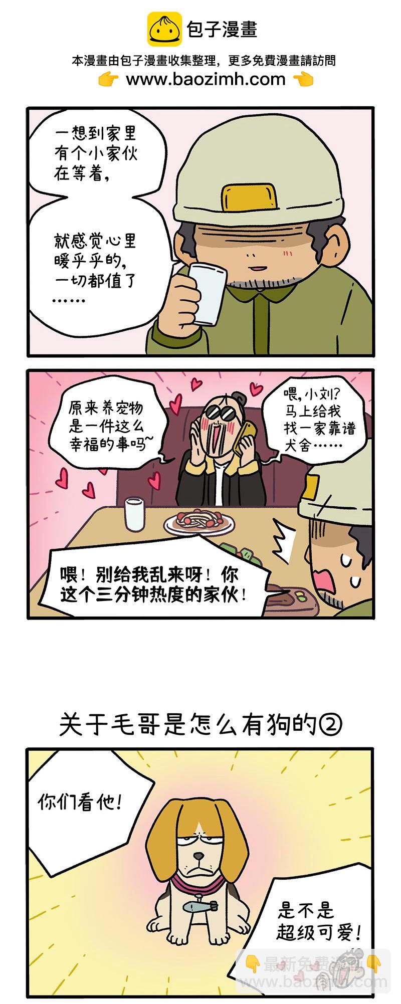 阿滿和麥茶 - 第127話1 關於毛哥是怎麼有狗的 - 2