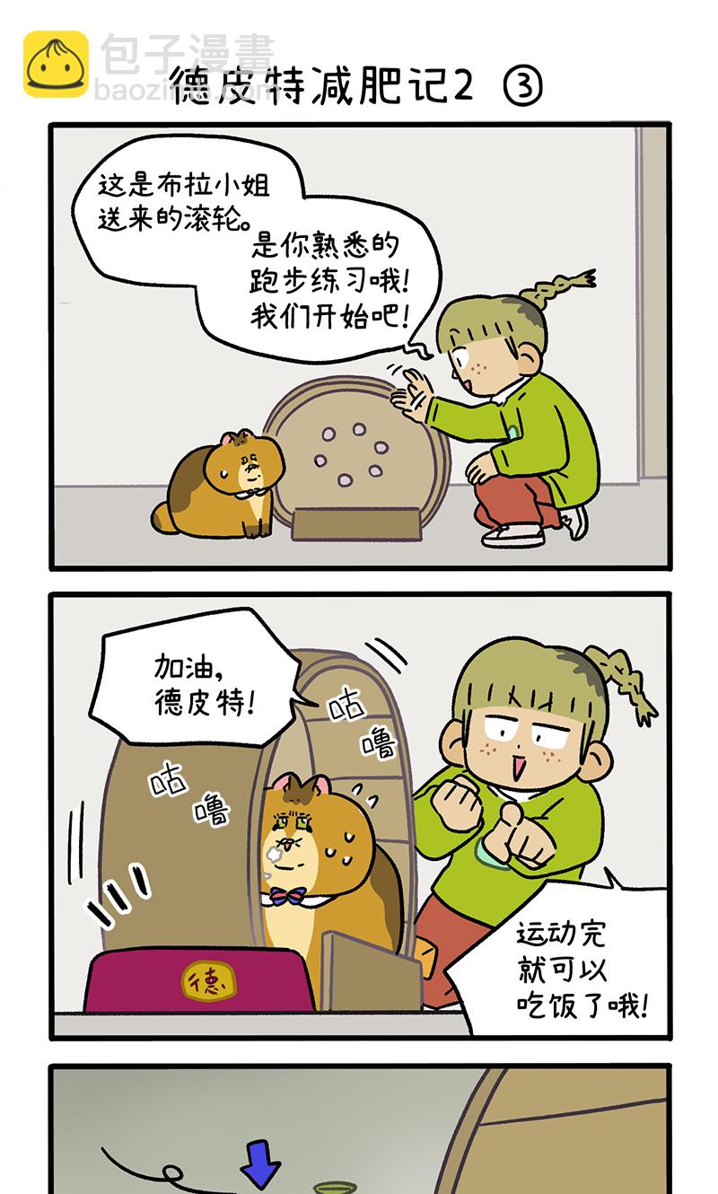 15.jpg