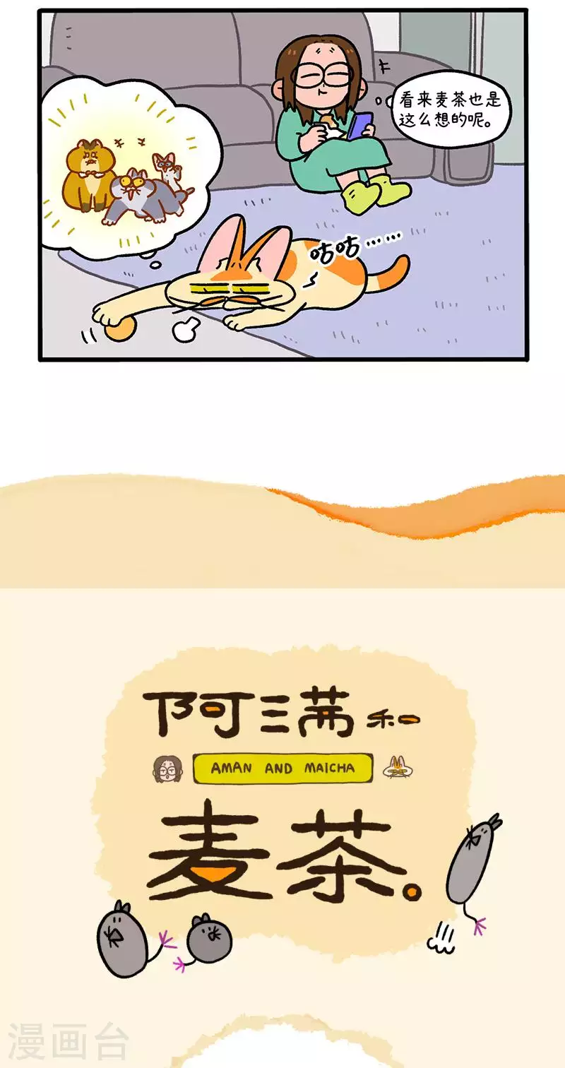 15.jpg
