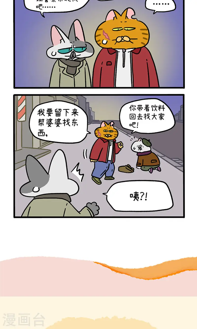 17.jpg