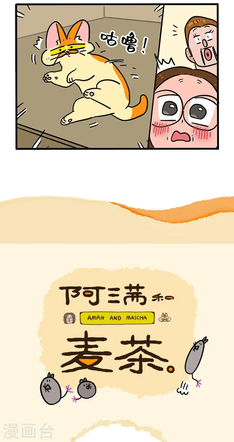 15.jpg