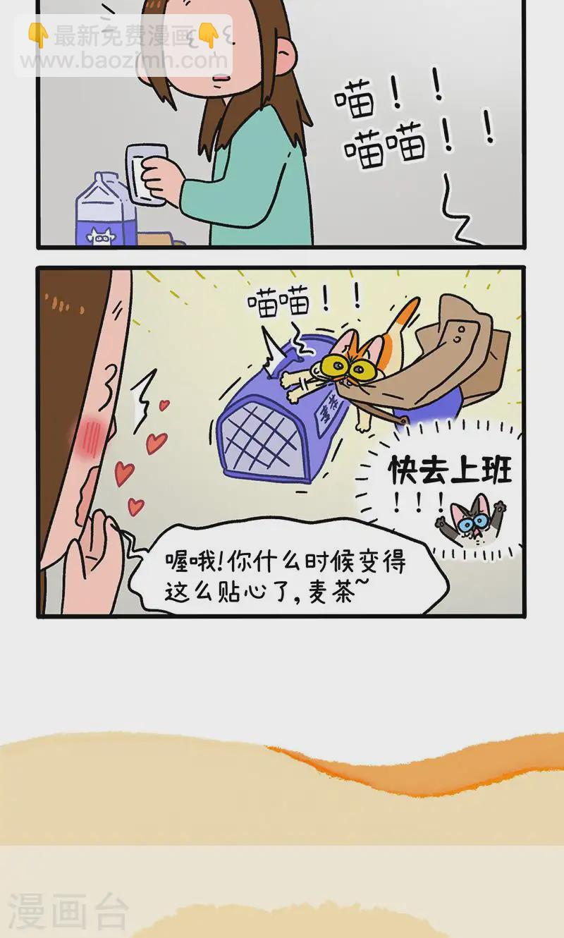 阿滿和麥茶 - 第150話1 如果交換身體的話 - 2