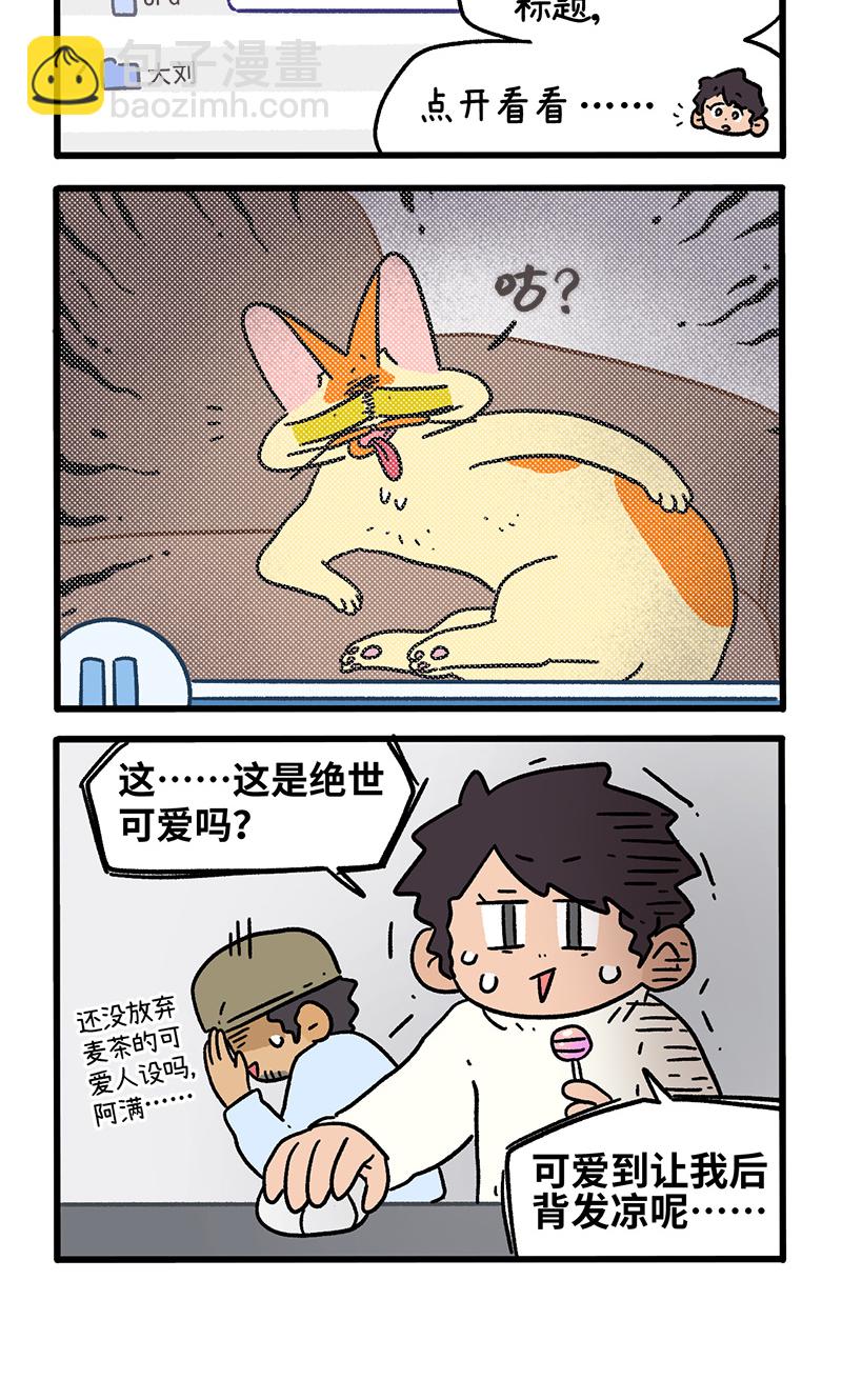 阿滿和麥茶 - 第156話1 貓晶晶的春日企劃1 - 2