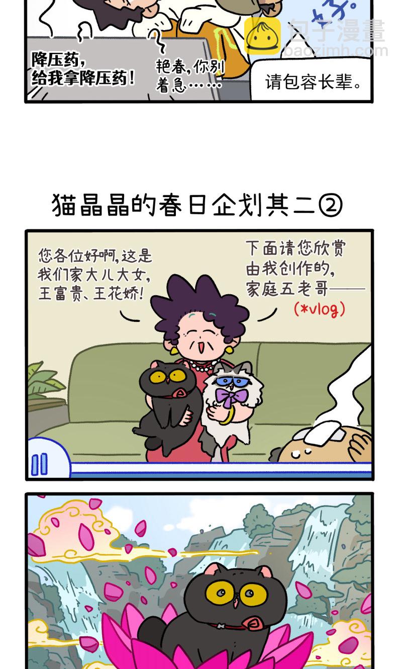 阿滿和麥茶 - 第157話1 貓晶晶的春日企劃2 - 1