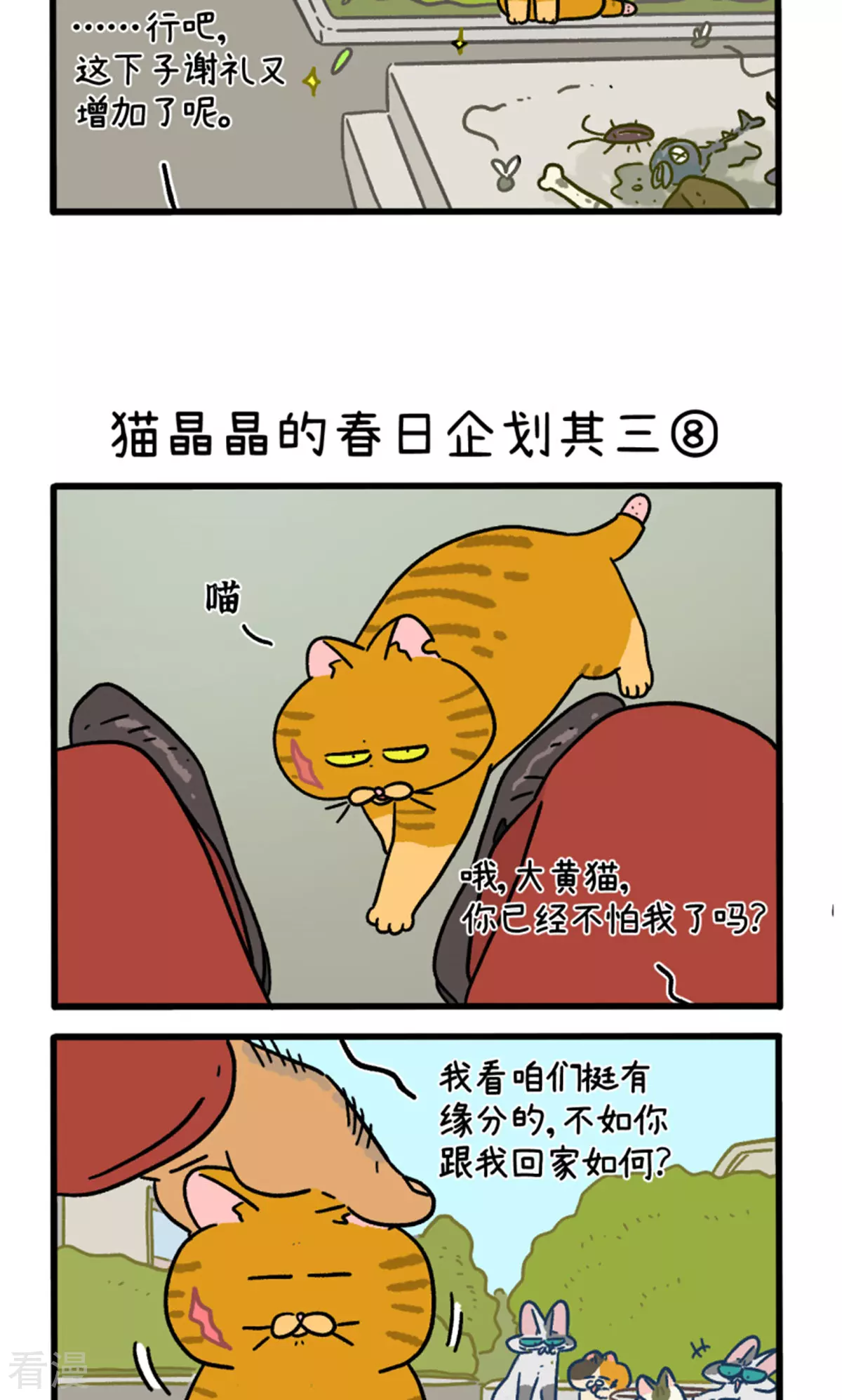 阿滿和麥茶 - 第158話3 貓晶晶的春日企劃3 - 1