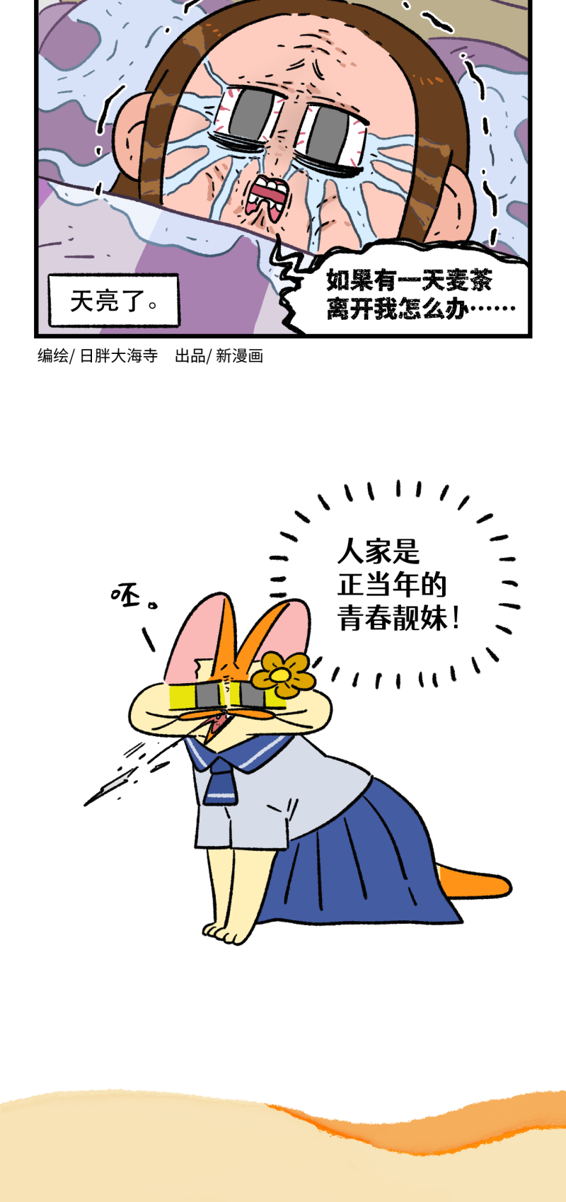 17.jpg