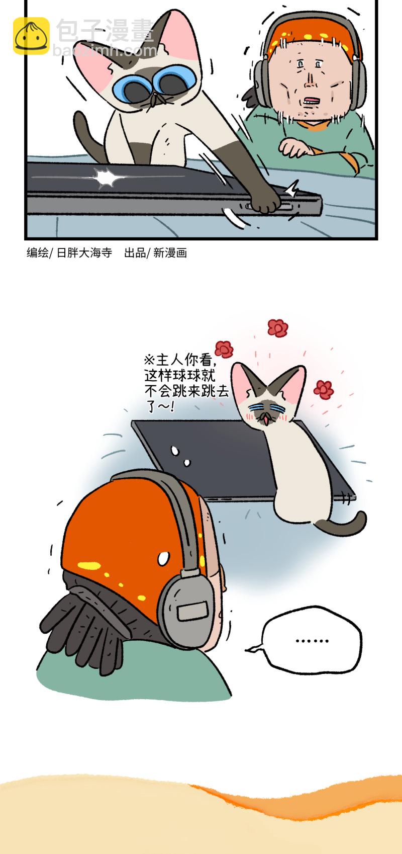 17.jpg