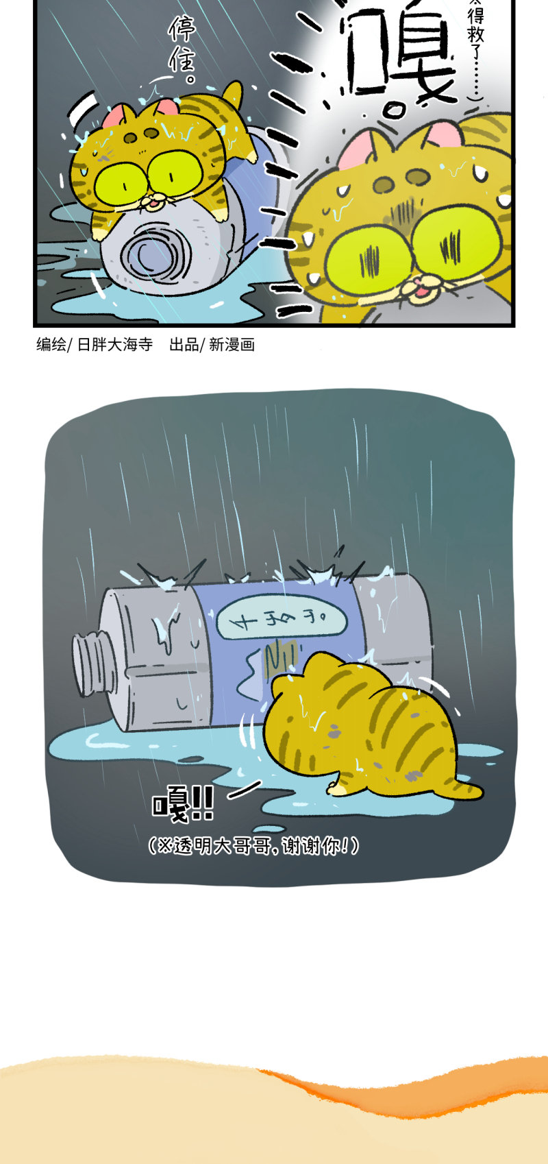 21.jpg