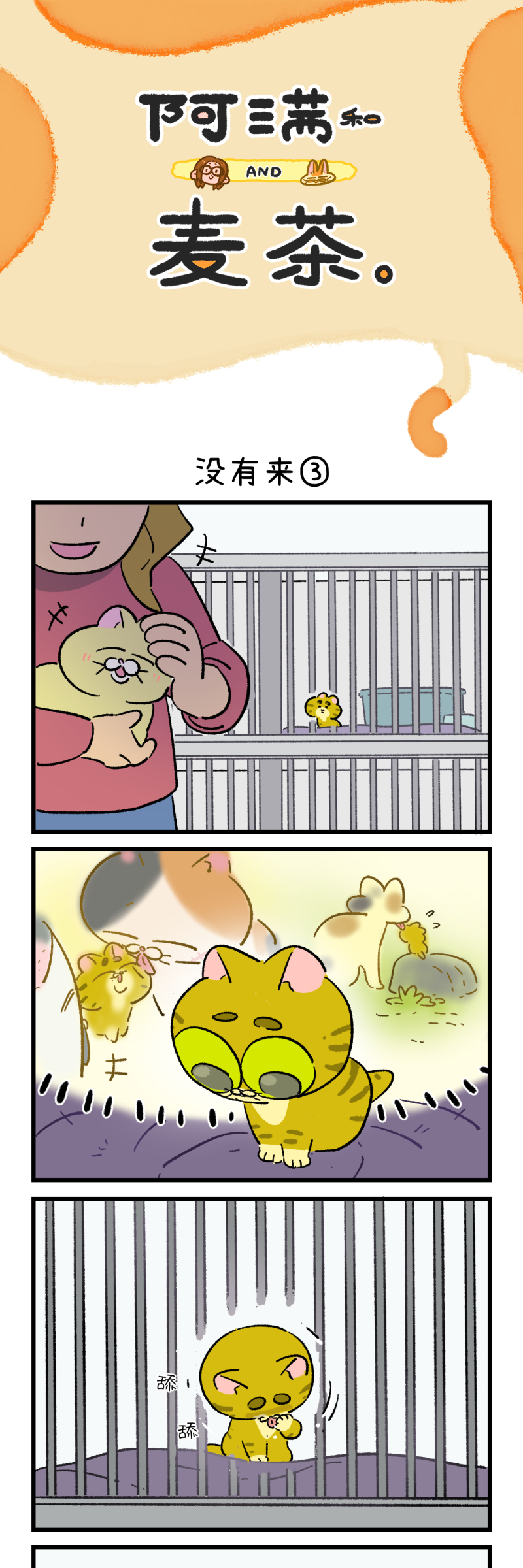 15.jpg