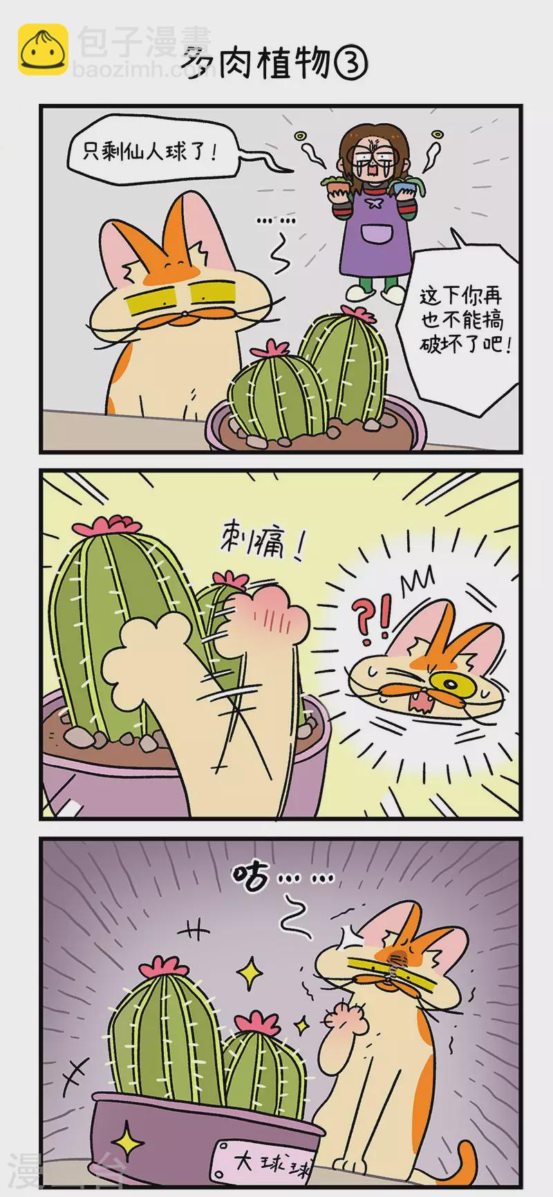 阿滿和麥茶 - 第57話 多肉植物 - 2