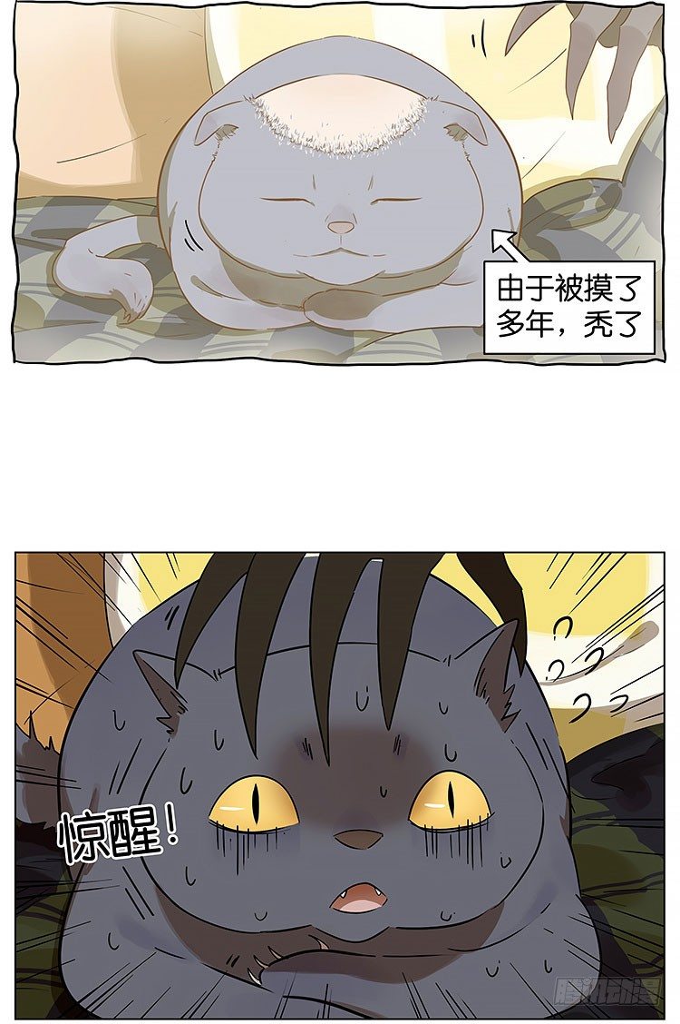 撸猫-第112话
