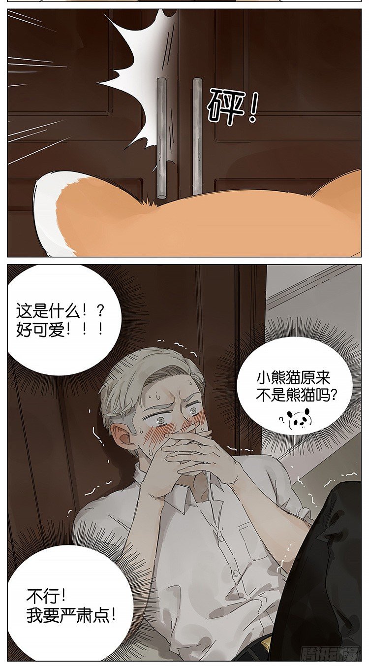 小熊猫-第116话