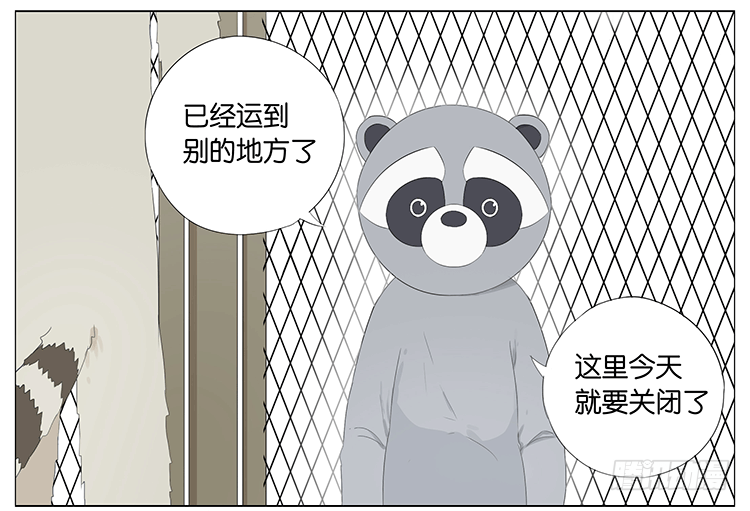 浣熊伯伯-第56话