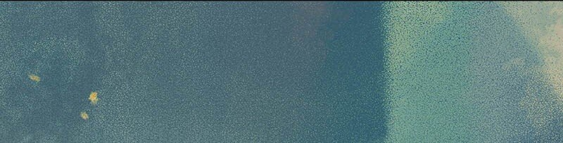 10 玫瑰篇4(1/2)-第12话