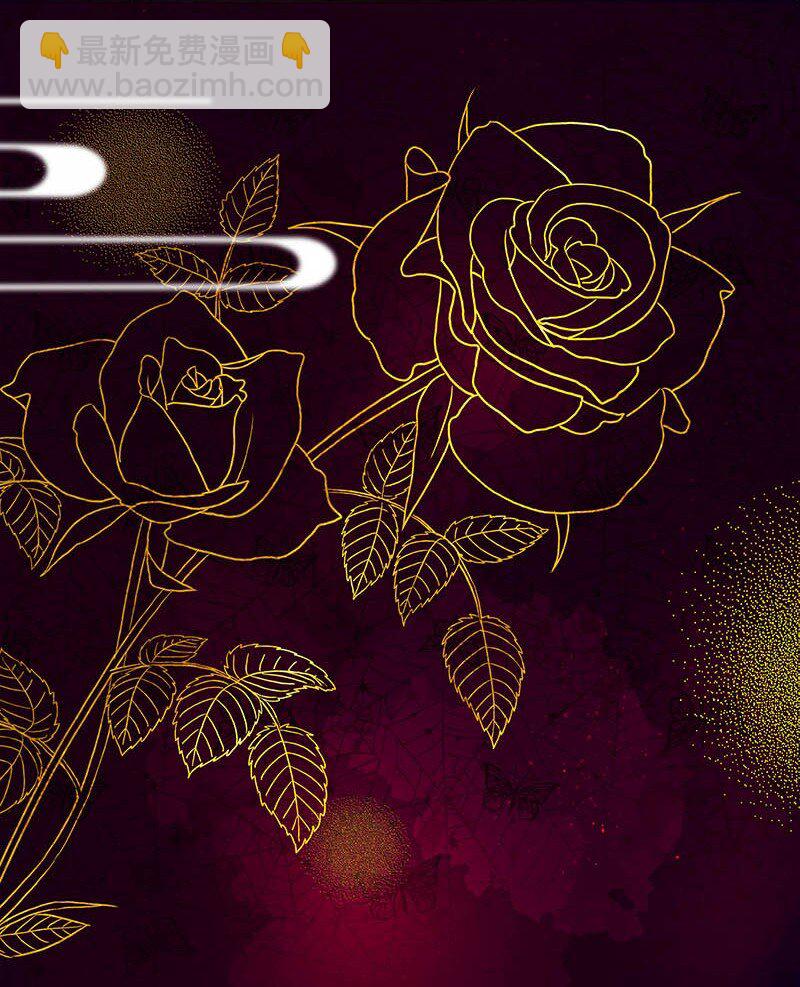 14 玫瑰篇8(1/2)-第18话