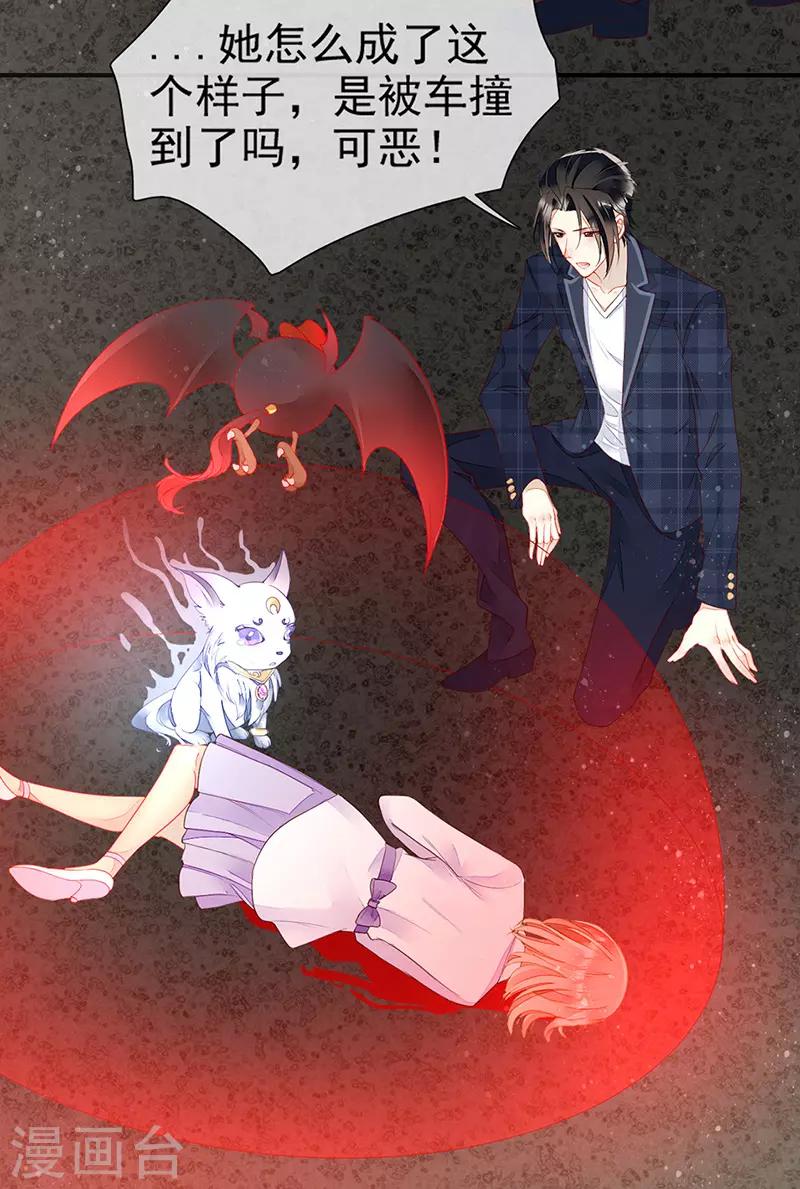 第24话 车祸！血宠？-第26话