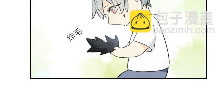 中秋特别篇：迷你狐出没！(1/3)-第104话