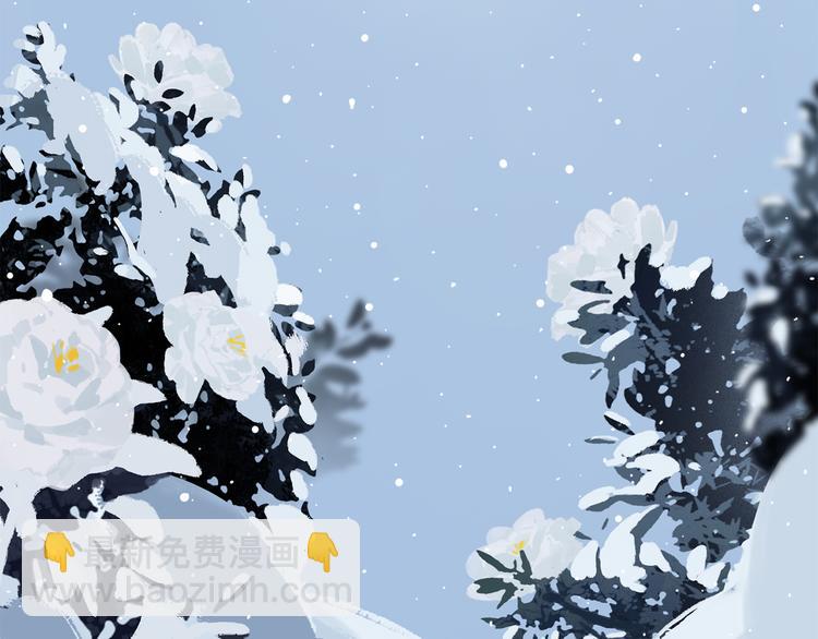 第25话 鲛人的记忆(1/3)-第80话