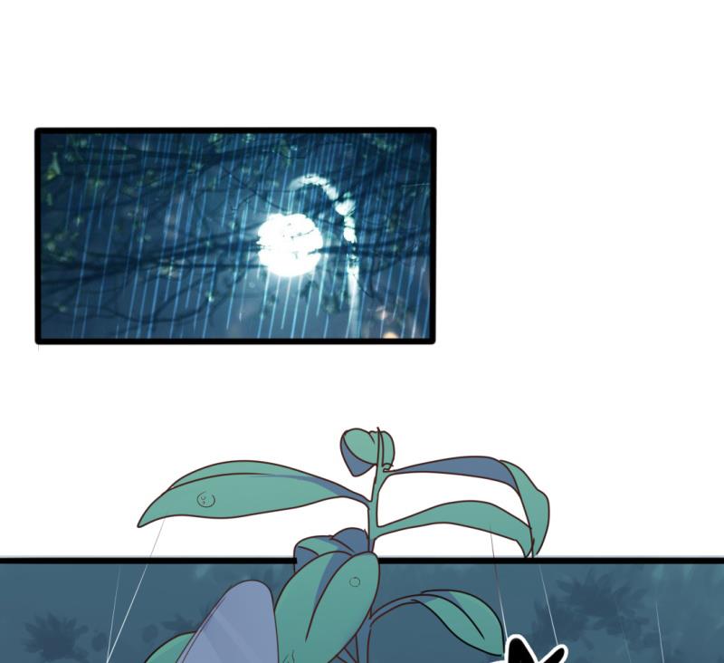 第34话 庭有枇杷树(1/2)-第34话