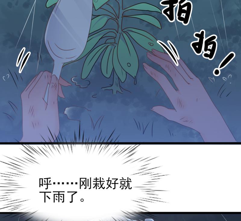 第34话 庭有枇杷树(1/2)-第34话