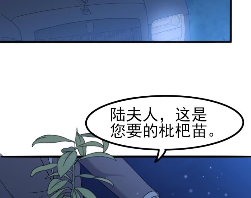 第34话 庭有枇杷树(1/2)-第34话