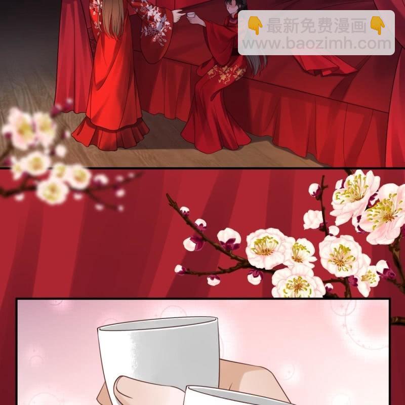 第105话 大婚之日2(1/2)-第106话