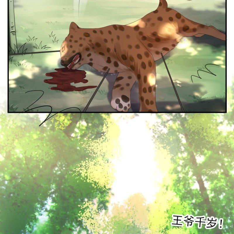 第119话 暗箭难防(1/2)-第120话