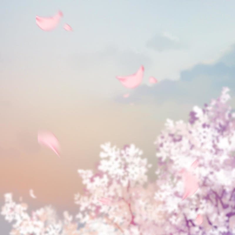 第211话 公主的转变(1/2)-第212话