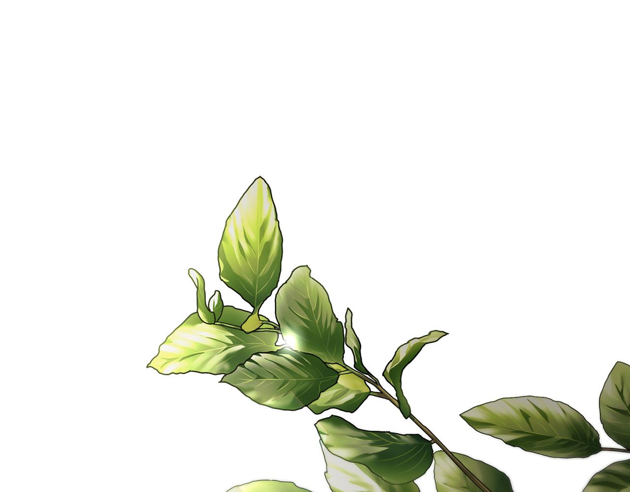 第79话 最大的阻碍(1/6)-第80话