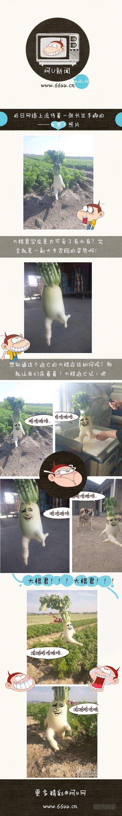阿U微漫画：大根逃亡记-第64话