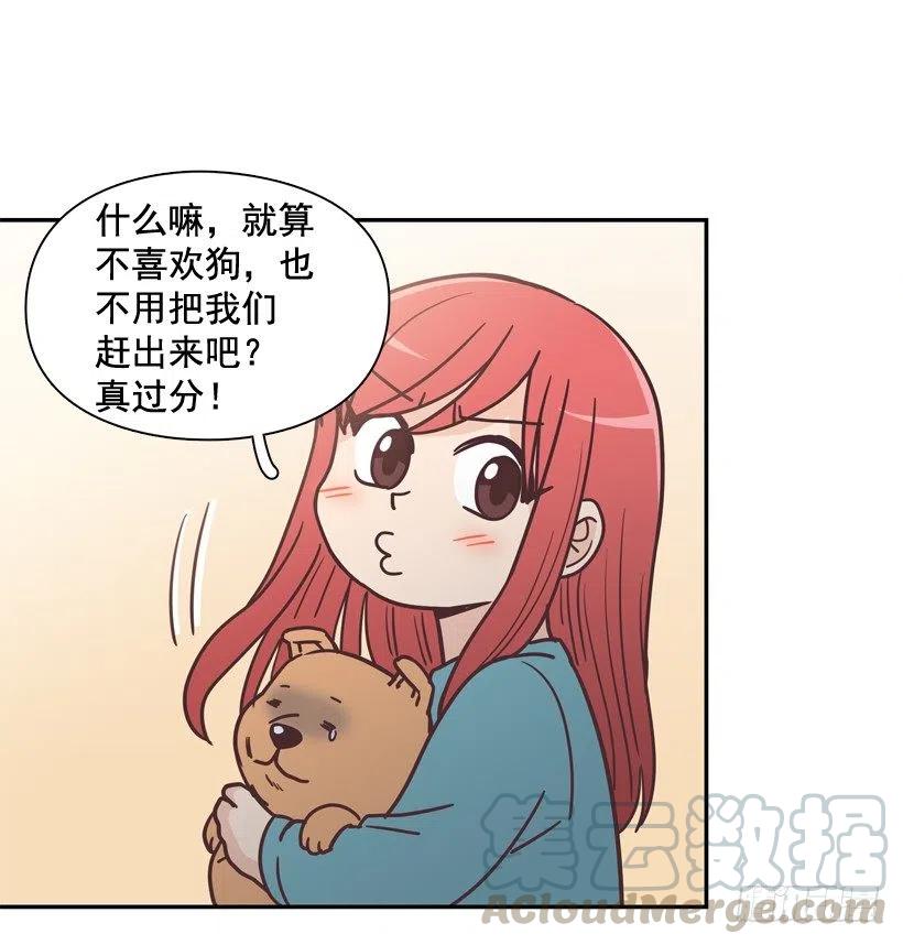 动物过敏-第202话