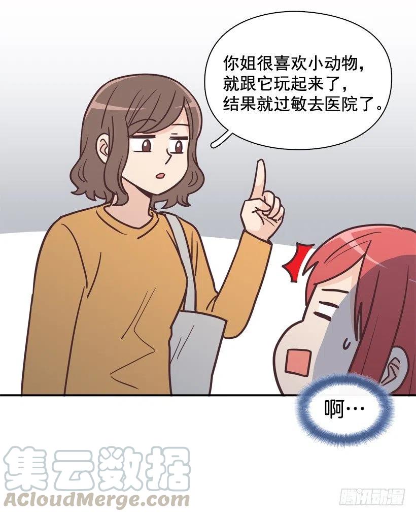 动物过敏-第202话