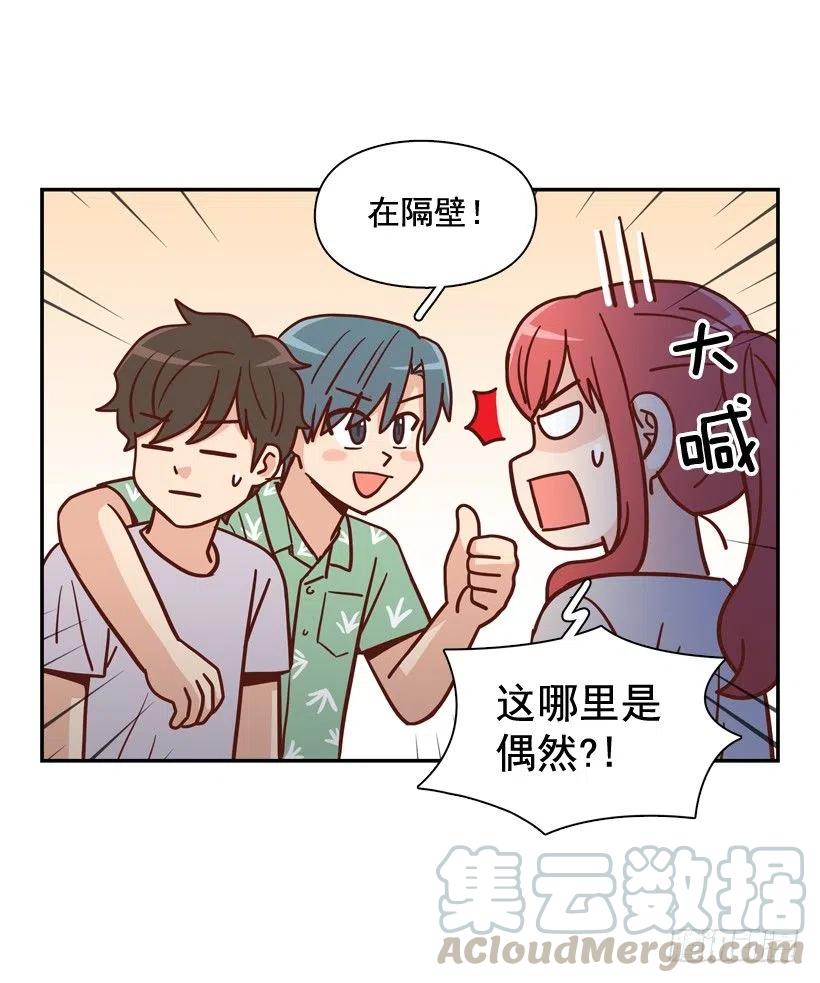 再次相遇(1/2)-第290话