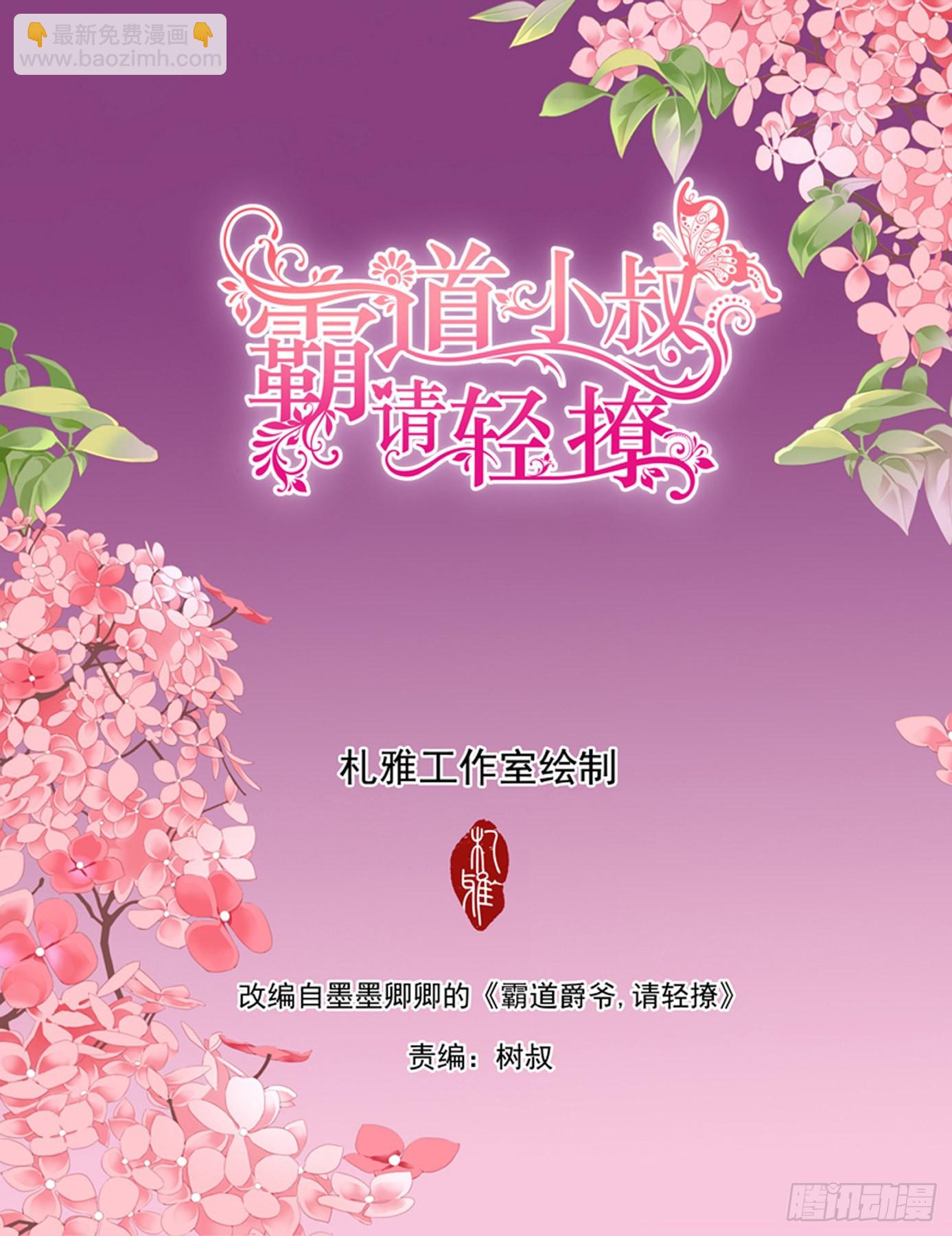 霸道小叔，請輕撩！ - 衛安好 - 2