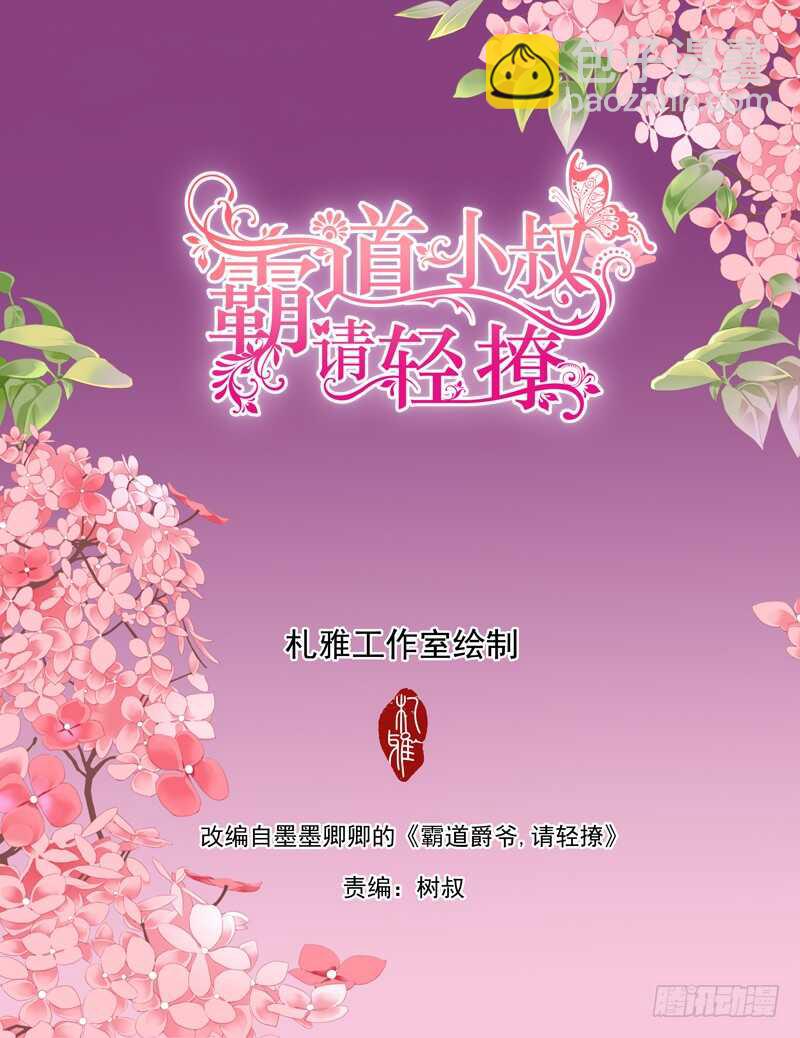 霸道小叔，請輕撩！ - 幸好小叔平安 - 2