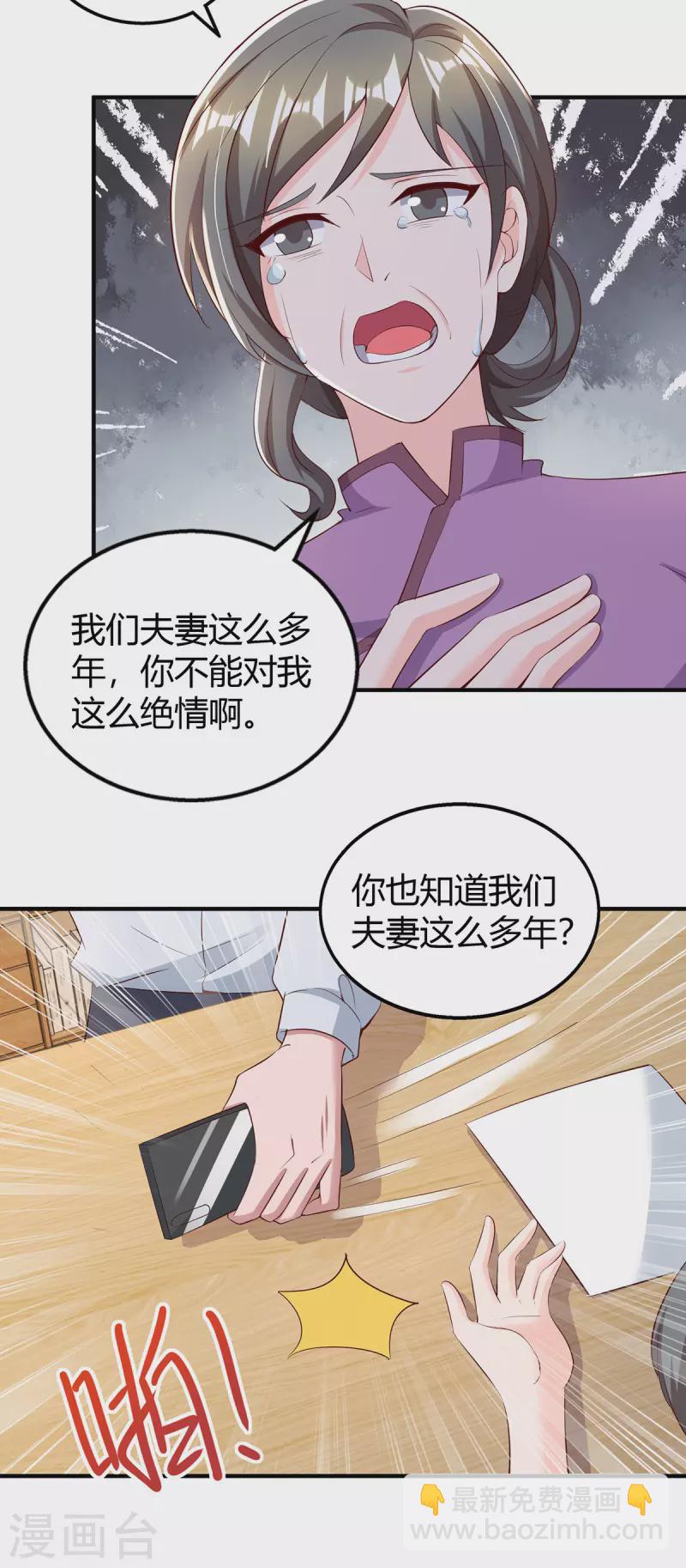 霸道總裁求抱抱 - 第294話 離婚 - 5