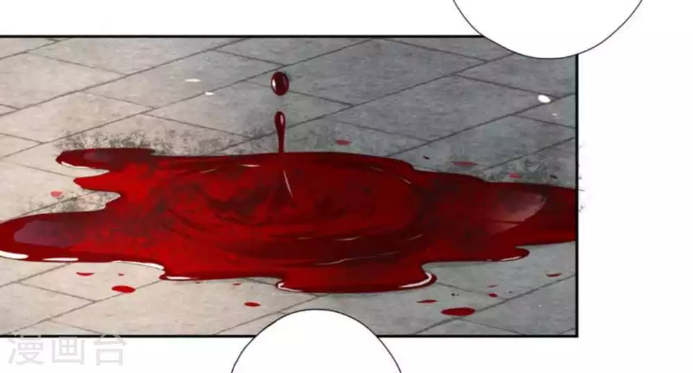 第2话(1/2)-第2话