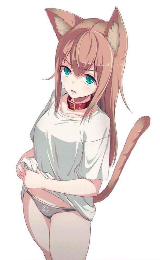 擺出討厭的表情露出胖次 - 露出胖次 cP站圖08 - 1