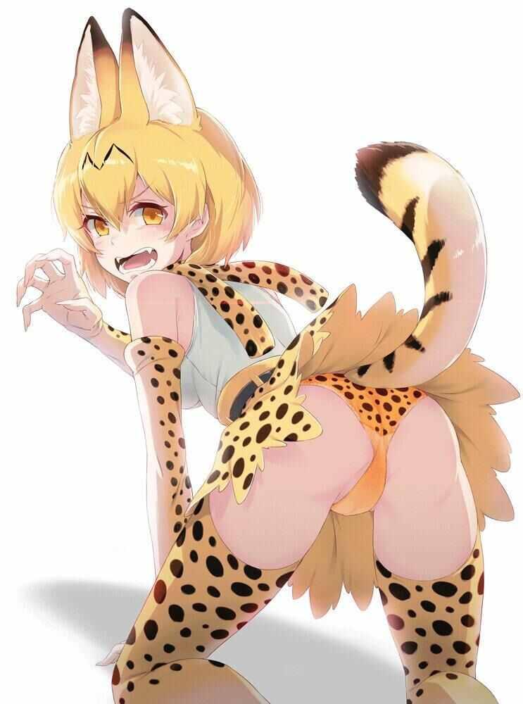 擺出討厭的表情露出胖次 - 露出胖次 P站圖03藪貓 - 1