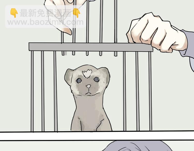 第4话 变脸（四）(1/2)-第4话