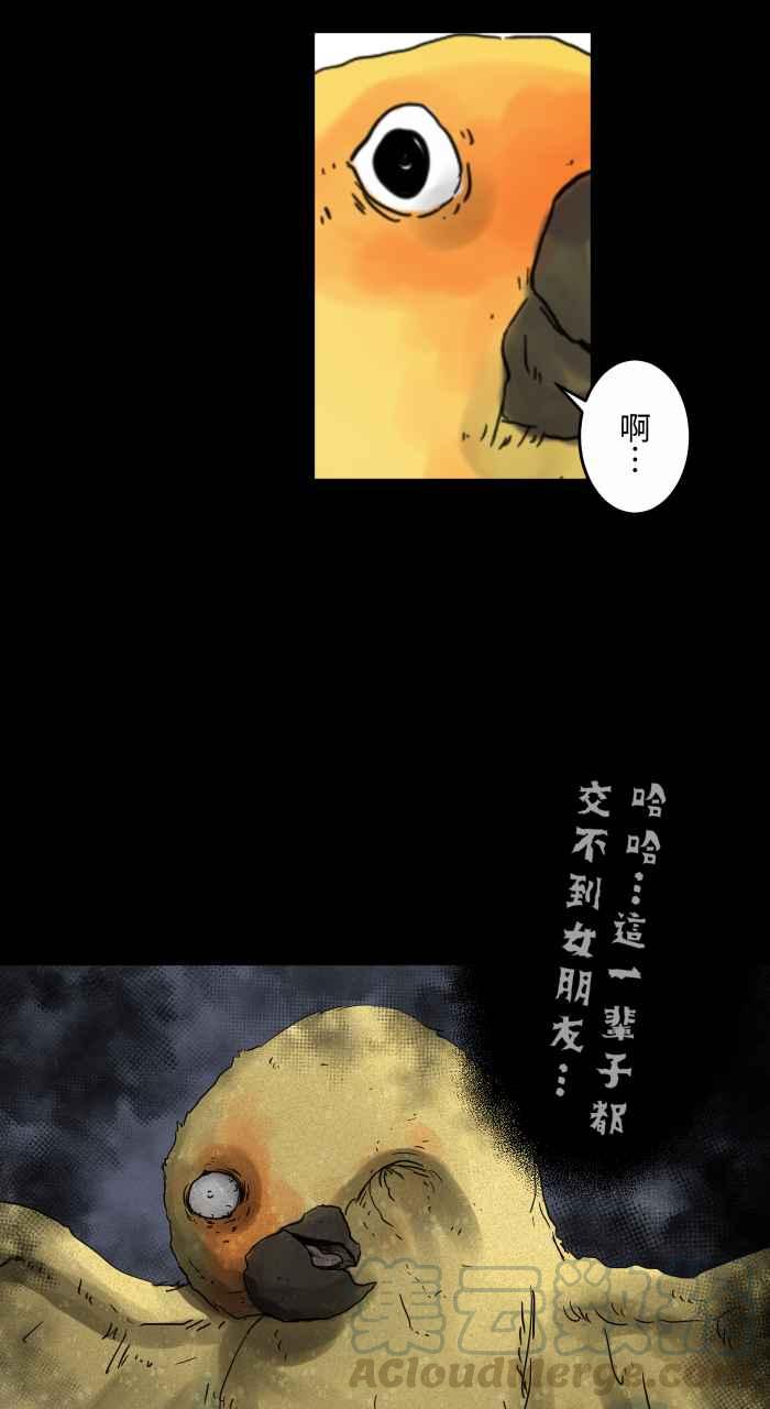 百鬼夜行志・一夜怪谈之卷 - [第668话] 鹦鹉 - 3