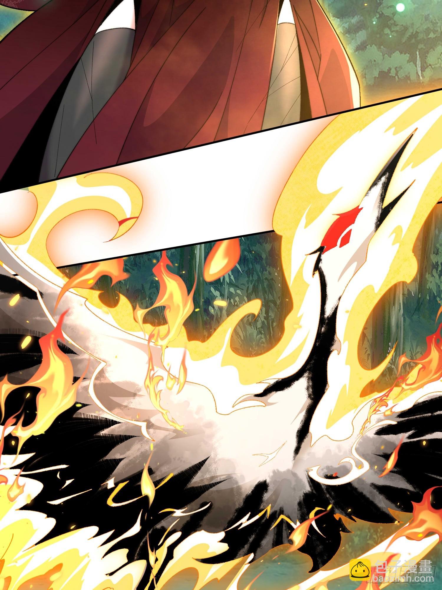 第五十话  开团！-第52话