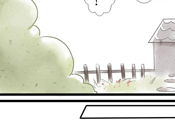 番外 熊兔（1）-第36话