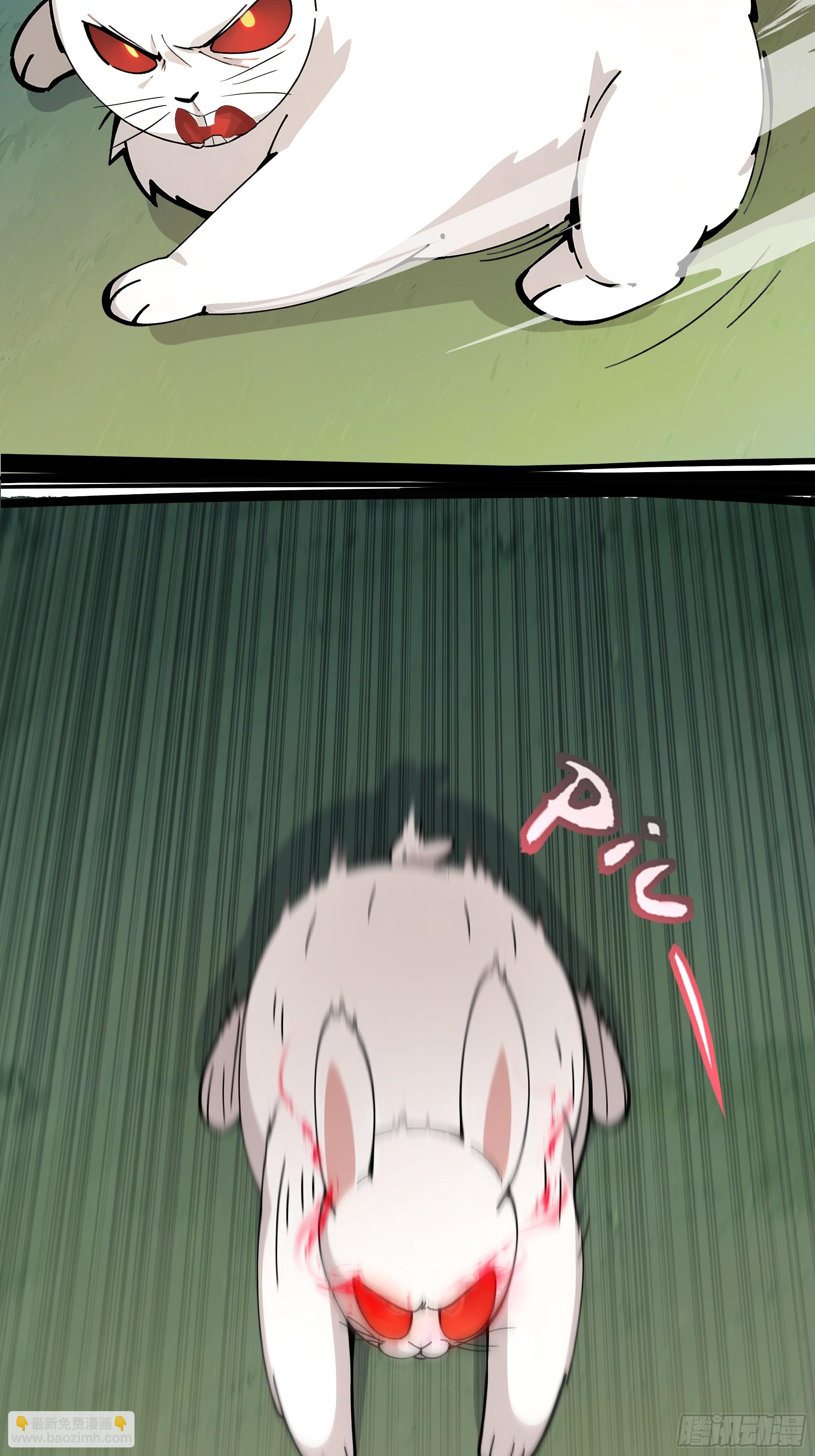 12  大白兔，白又白！-第12话