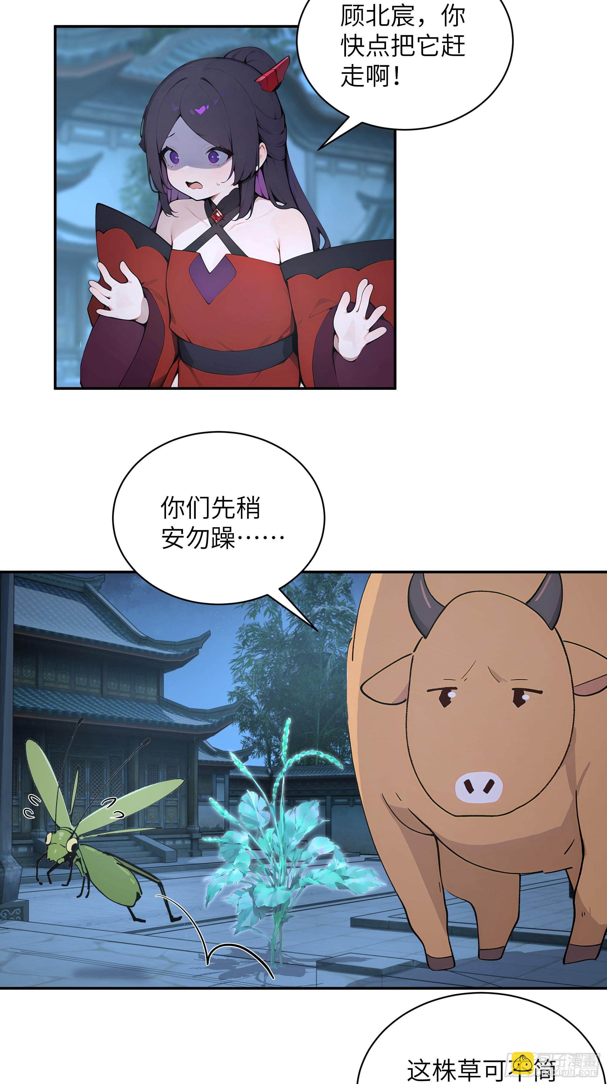 52 零星草(1/2)-第52话