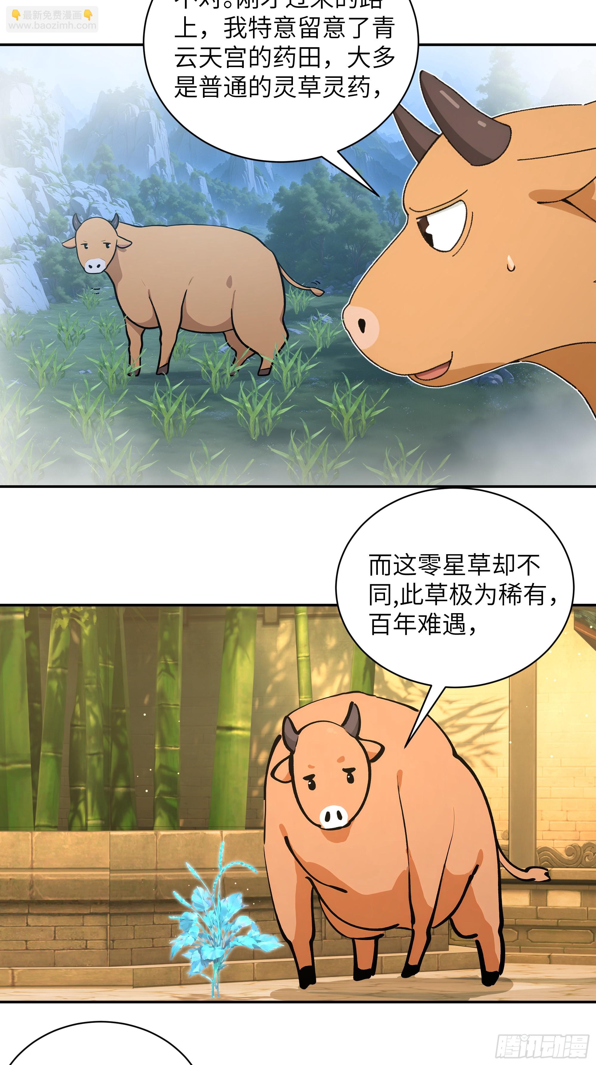 52 零星草(1/2)-第52话